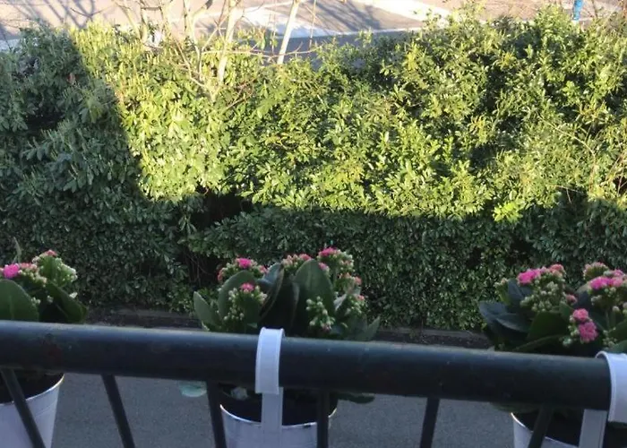 بيت للعطل White House